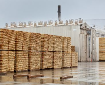 Stacks of fir timber ready for transport on the site of the sawmill, Canada