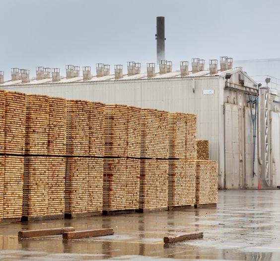 Stacks of fir timber ready for transport on the site of the sawmill, Canada